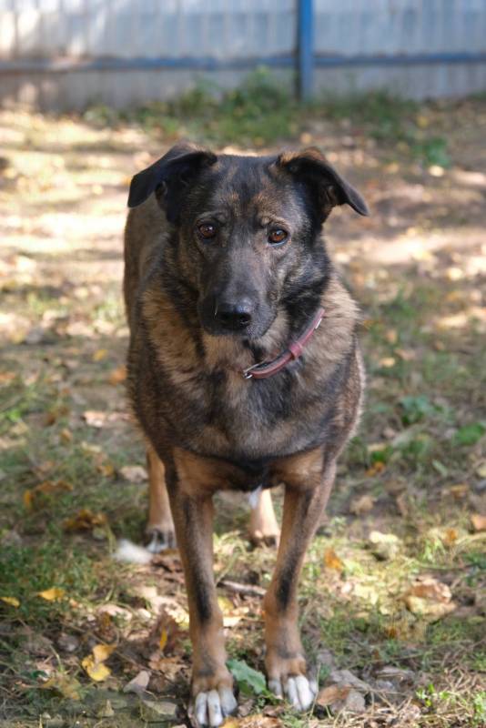 Герда хочет узнать что такое дом