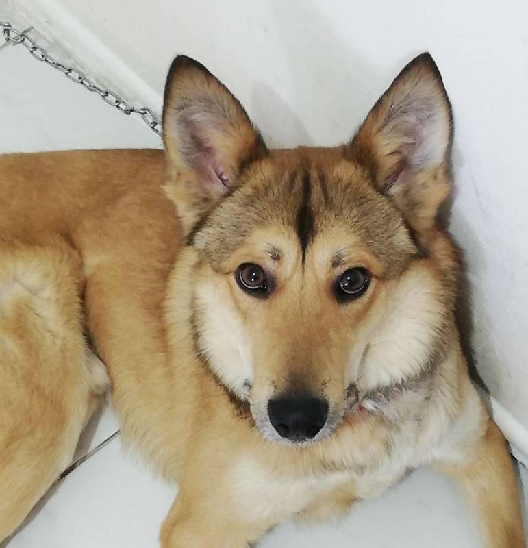 Джек ищет свой дом