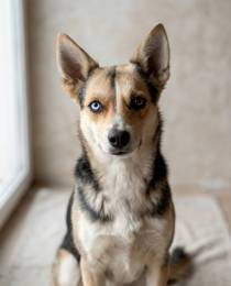 Сия - миниатюрная девочка с глазами из разных миров