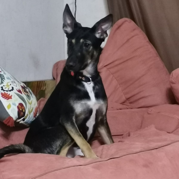 Кенди - игрунья!