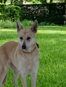 Предательство, бездушие и боль и это всё про Раду!