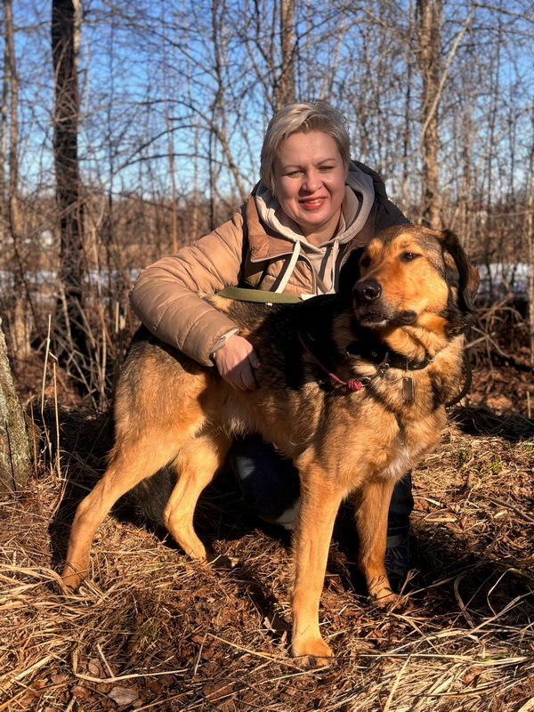 Верные и преданые товарищи-собаки ищут дом