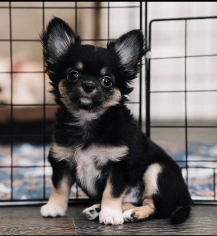 МальЧишка ищет  родителей 