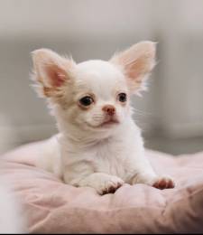 МальЧишка ищет родителей 