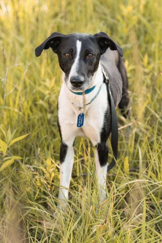 Тихон нуждается в новой истории!