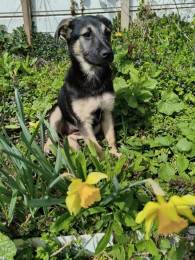 Маленькая крошка с большой любовью к игрушкам