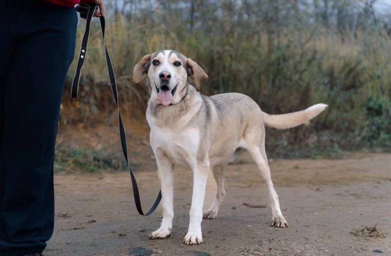 Три года надежды в глазах Рэя.