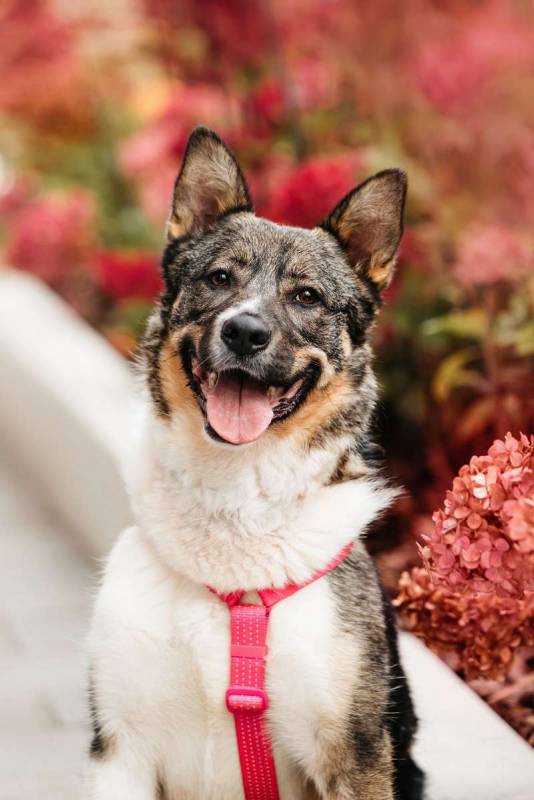 Ураган Маруф в поисках своего человека! 