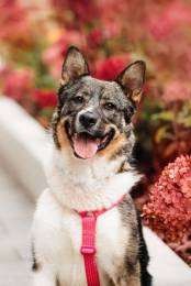 Ураган Маруф в поисках своего человека! 