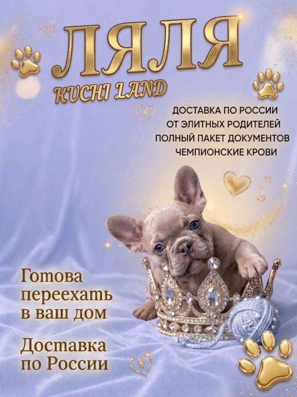 Щенок французского бульдога ищет дом